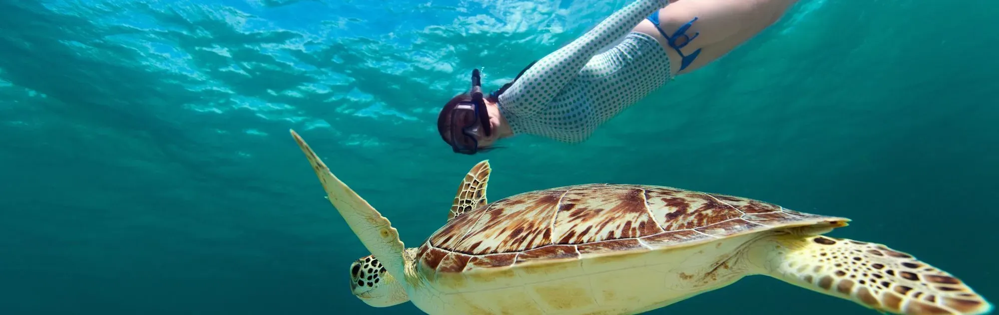 10 BEST SNORKELING SPOTS IN THE WORLD visual data 6